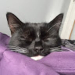 Meet your Posher, Tanner